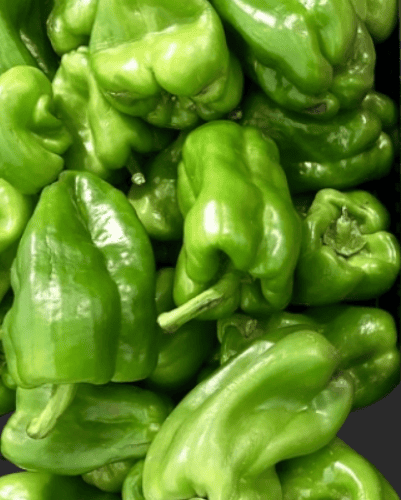 Green bell pepper
