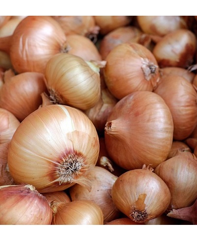 Onions - yellow