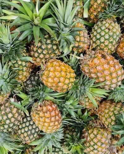 Pineapple